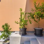 Πανσιόν Bellona 3*