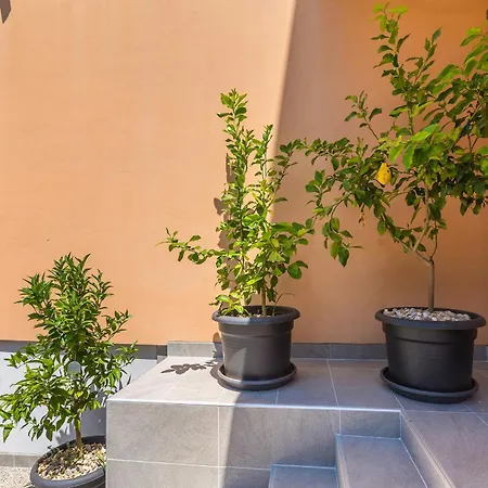 Guest house Bellona 3*